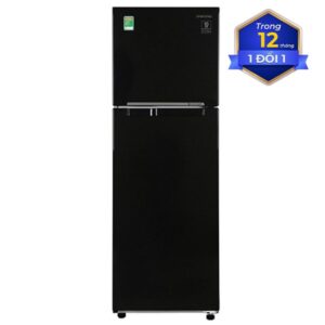 Tủ lạnh ngăn đá trên Samsung Digital Inverter 256 lít RT25M4032BU/SV